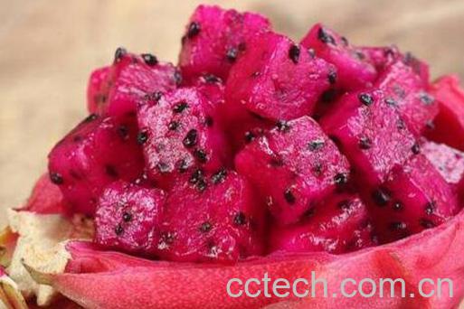 火龙果可以空腹吃吗 空腹吃火龙果的危害-1