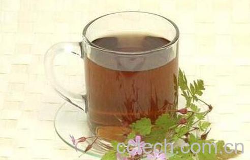 鱼腥草茶能天天喝吗 喝鱼腥草茶的禁忌-1