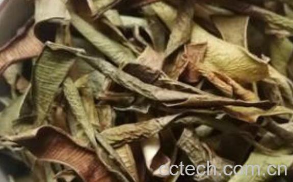 干芦荟茶的功效与作用-1