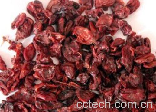 枣皮的功效与作用-0