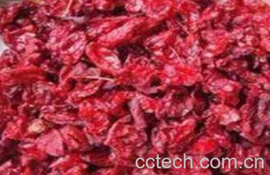 枣皮的功效与作用-1