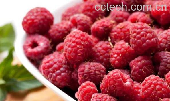 覆盆子茶的功效与作用 覆盆子茶的禁忌-0