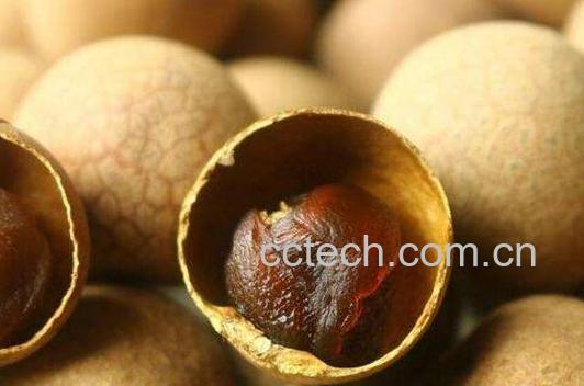 桂圆干的功效与作用-1