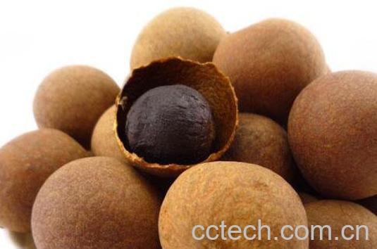 桂圆干的功效与作用-0