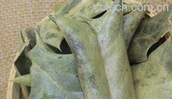 八角茶的功效与作用-1