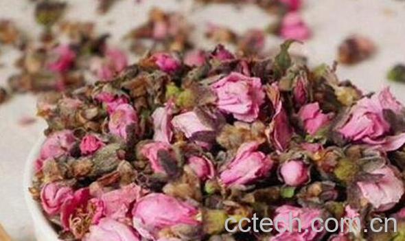 桃花茶的功效与作用有哪些-0