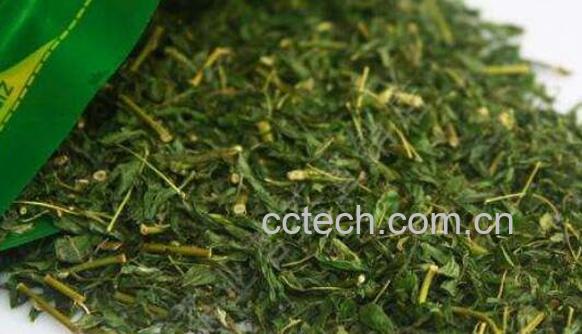 相思茶什么人不能喝 相思茶的禁忌-1