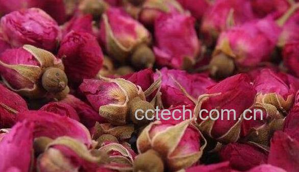 玫瑰花茶的功效与作用 喝玫瑰花茶有什么好处-0