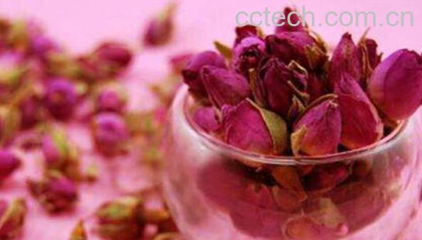 月季花茶的功效与作用 喝月季花茶的好处-0