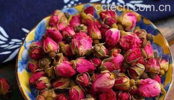 月季花茶的功效与作用 喝月季花茶的好处-1