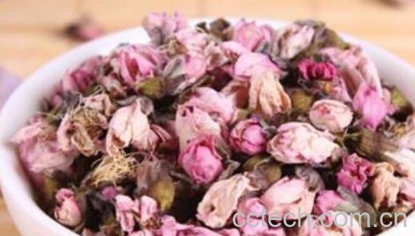 桃花茶的功效与作用 桃花茶的正确喝法-1