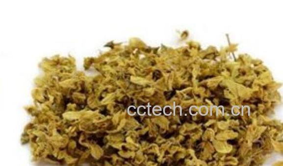 干槐花泡水喝的功效与作用-1