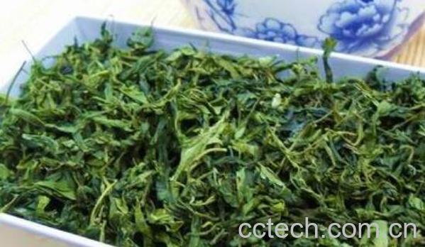 枣叶茶的功效与作用 枣叶茶的禁忌-0