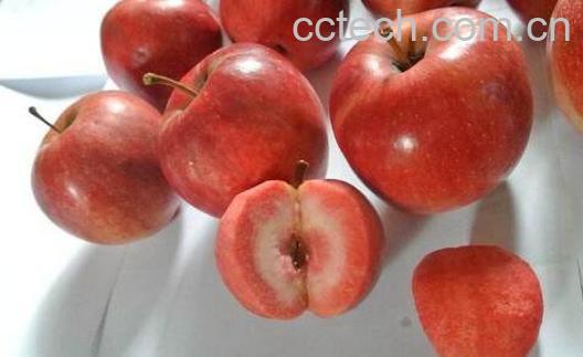 红肉苹果好吃吗 红肉苹果的功效与作用-1