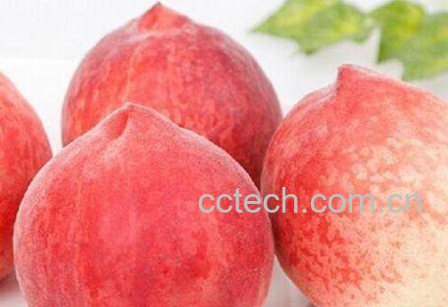 水蜜桃的功效与作用及禁忌-0