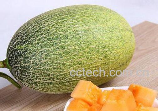 蜜瓜的功效与作用-1