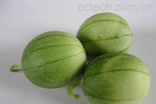 马泡瓜如何吃 马泡瓜的食用方法-1