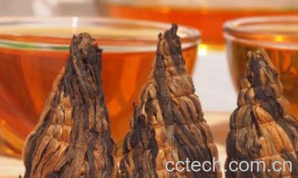 宝塔滇红怎么泡 宝塔滇红的冲泡方法-0