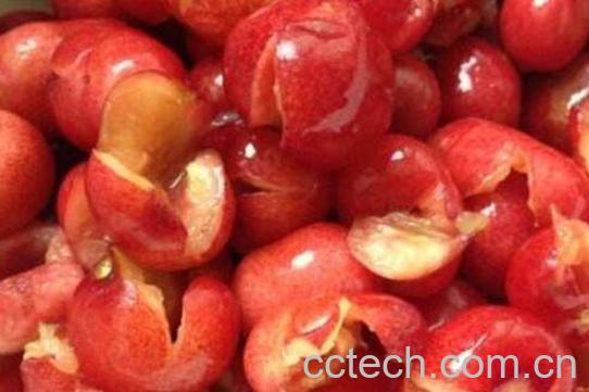 冰糖樱桃的功效与作用 冰糖樱桃的做法-1