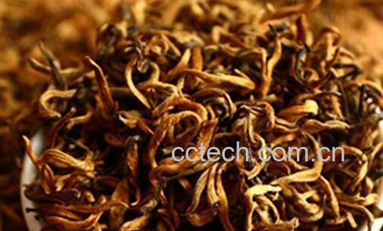 滇红金螺怎么泡 滇红金螺的冲泡方法-1