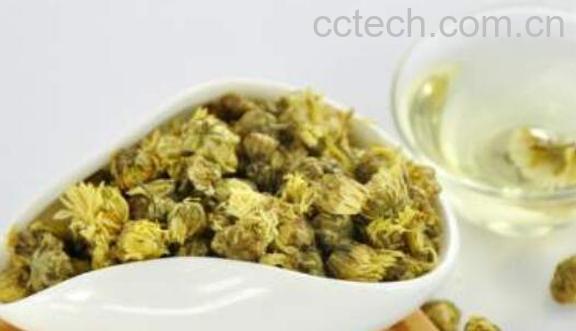 菊花茶加蜂蜜的功效与作用 菊花茶加蜂蜜的禁忌-1