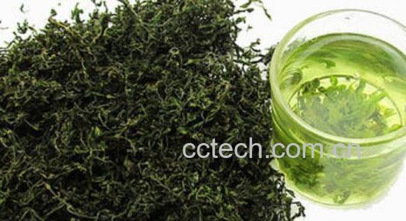 酸枣芽茶的功效与作用	-0