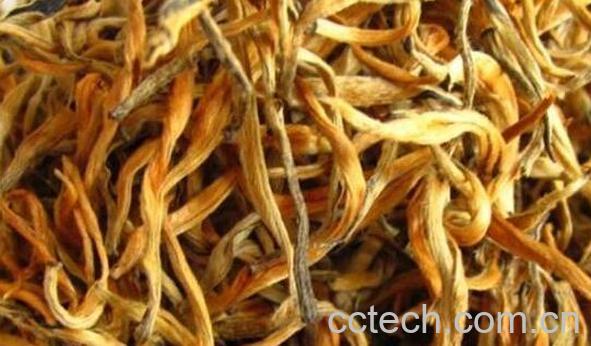 金芽红茶怎么泡 金芽红茶泡制方法-0