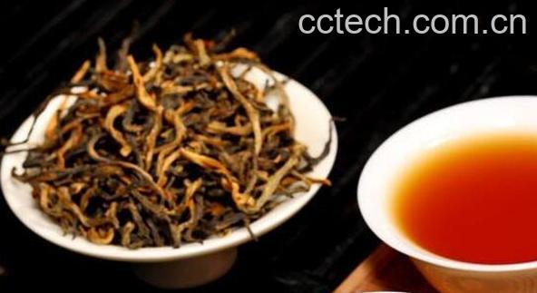 滇红金芽怎么泡 滇红金芽的冲泡方法-1