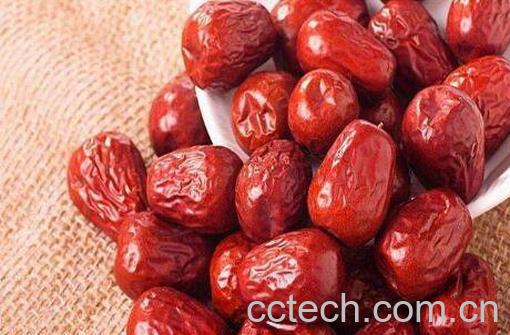 骏枣和玉枣的区别 玉枣的营养价值与功效-0