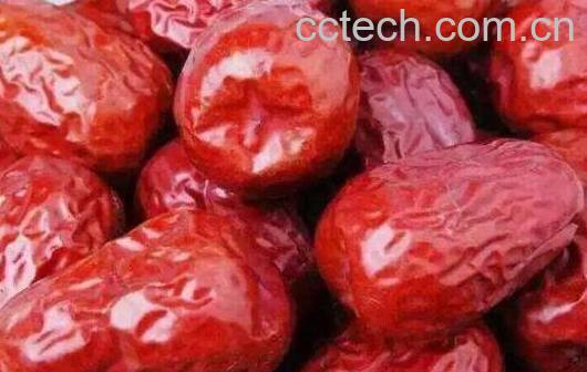 骏枣和玉枣的区别 玉枣的营养价值与功效-1