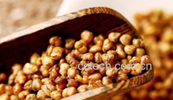 长期喝苦荞茶的副作用与危害-0