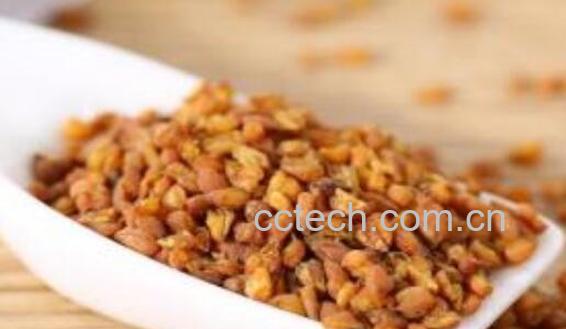 长期喝苦荞茶的副作用与危害-1