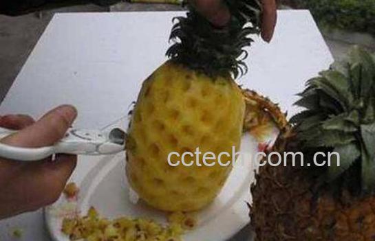 菠萝怎么去皮 菠萝去皮最简单的方法-0