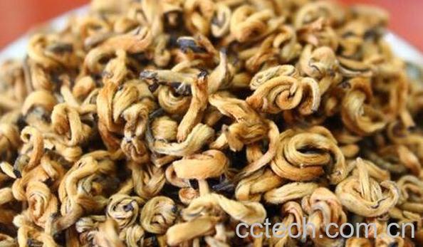 金丝螺茶怎么泡法 金丝螺茶的功效-1