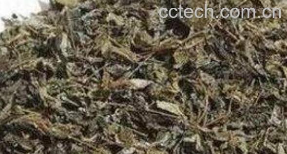 乃贡藤茶的功效与作用-0