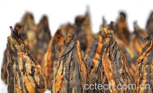 滇红宝塔的功效与作用-0