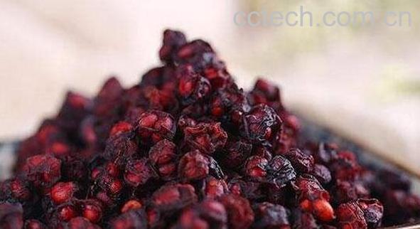 五味子茶的功效与作用及冲泡方法-1