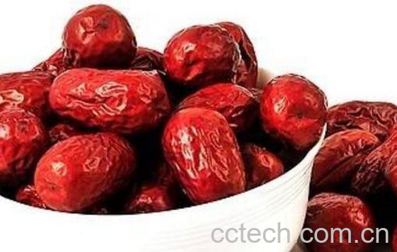 黄河滩枣好吃吗 黄河滩枣什么时候成熟-1