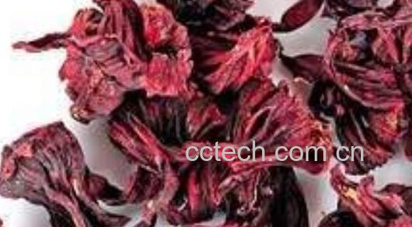 红金梅茶的功效与作用-1