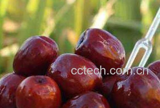 酒枣的功效与作用-1