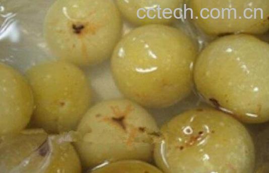 油甘子怎样腌制最好吃 油甘子怎么腌制成甜的-1