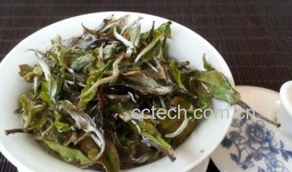 白牡丹茶的功效与作用-1
