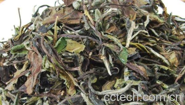 白牡丹茶的功效与作用-0
