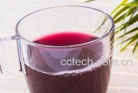 蓝莓果汁的功效与作用 蓝莓和什么榨汁好喝-0