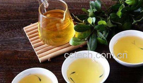 为什么会茶醉 茶醉的症状及解决办法-1
