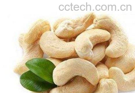 腰果能生吃吗 吃生腰果有什么好处-0