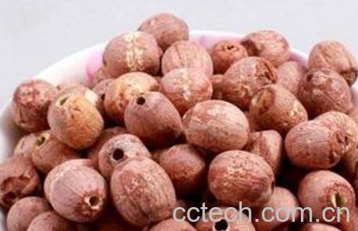 红皮莲子需要去皮吗 红皮莲子怎么去皮-1