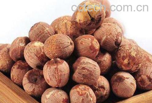 红皮莲子的功效与作用-1