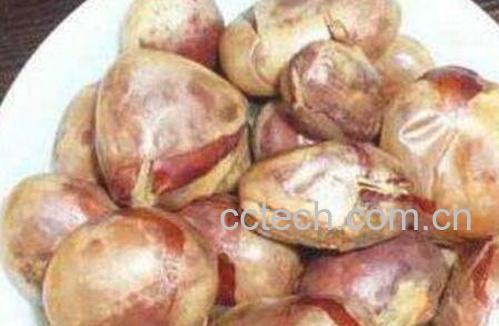 菠萝蜜的核可以吃吗 菠萝蜜的核怎么吃-1