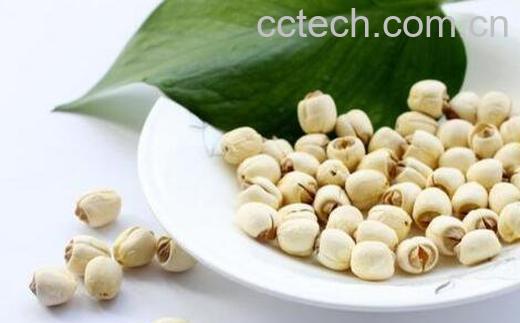 晒干的莲子怎么去皮 干莲子怎么去皮-0